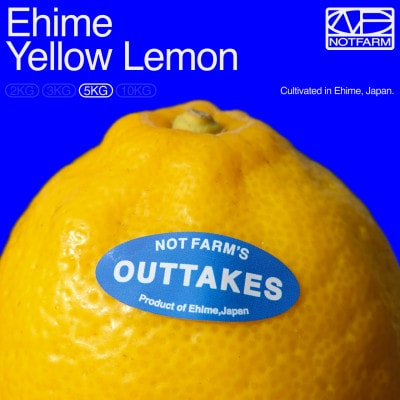 【OUTTAKES】訳あり レモン5kg 愛媛県産 EHIME YELLOW LEMON【99-8】