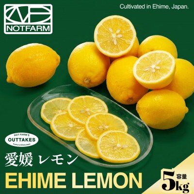 【見た目訳あり、味は本物】訳あり レモン5kg 愛媛県産 YELLOW LEMON【99-8】