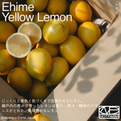 【OUTTAKES】訳あり レモン5kg 愛媛県産 EHIME YELLOW LEMON【99-8】