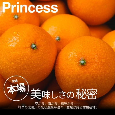 【美味しさそのまま】訳ありプリンセス 2kg 【甘平×まどんな 愛果48号】【99-7】