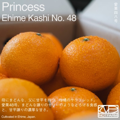 【OUTTAKES】訳あり 【甘平×まどんな 愛果48号】2kg 紅プリンセス と同品種【99-7】