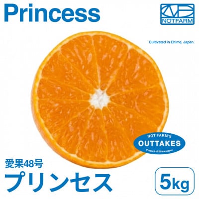 【美味しさそのまま】訳ありプリンセス 5kg【甘平×まどんな 愛果48号】【99-5】