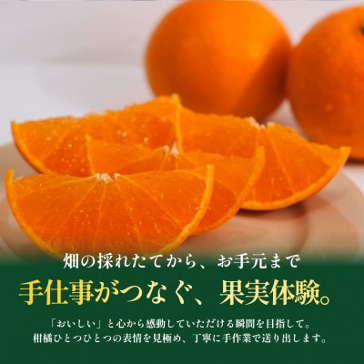 【見た目訳あり、味は本物】【甘平×まどんな 愛果48号】5kg 紅プリンセス と同品種【99-5】