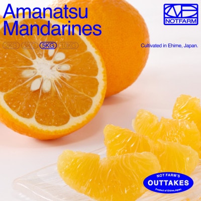 【OUTTAKES】訳あり 甘夏5kg 愛媛県産 EHIME Amanatsu【99-4】