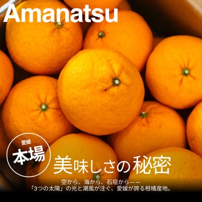 【美味しさそのまま】訳あり甘夏5kg 愛媛県産 EHIME Amanatsu【99-4】