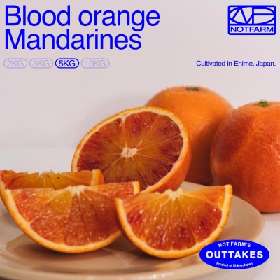 【OUTTAKES】訳あり ブラッドオレンジ5kg 愛媛県産 BLOOD ORANGE【99-2】