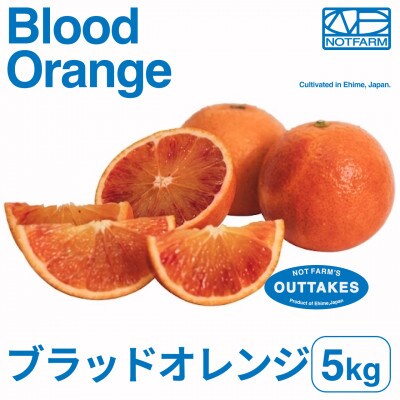 【美味しさそのまま】訳ありブラッドオレンジ5kg 愛媛県産 BLOOD ORANGE【99-2】