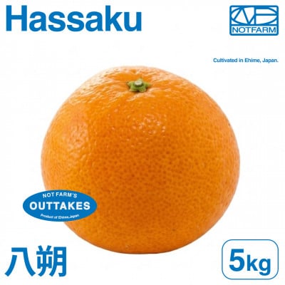 [美味しさそのまま]訳あり八朔5kg 愛媛県産 EHIME HASSAKU[99-1]