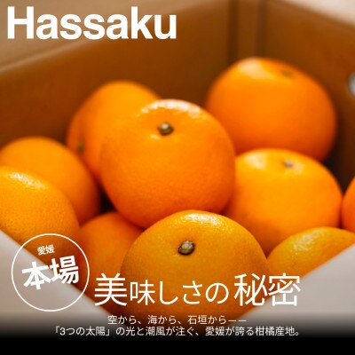 【美味しさそのまま】訳あり八朔5kg 愛媛県産 EHIME HASSAKU【99-1】