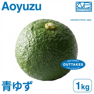 【美味しさそのまま】訳あり青ゆず1kg 愛媛県産 青柚子 BLUE YUZU【99-38】