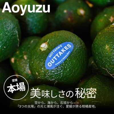 【美味しさそのまま】訳あり青ゆず1kg 愛媛県産 青柚子 BLUE YUZU【99-38】
