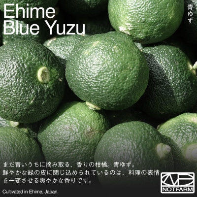 【OUTTAKES】訳あり 青ゆず1kg 愛媛県産 青柚子 BLUE YUZU【99-38】