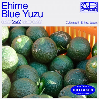 【OUTTAKES】訳あり 青ゆず2kg 愛媛県産 青柚子 BLUE YUZU【99-37】