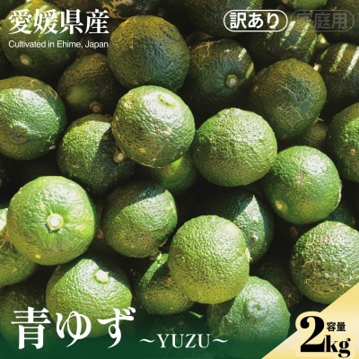 【見た目訳あり、味は本物】訳あり 青ゆず2kg 愛媛県産 青柚子 BLUE YUZU【99-37】