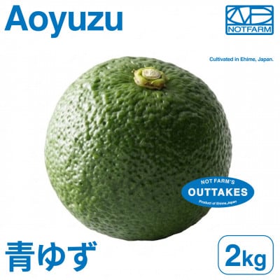 【美味しさそのまま】訳あり青ゆず2kg 愛媛県産 青柚子 BLUE YUZU【99-37】