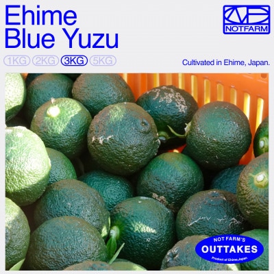 【OUTTAKES】訳あり 青ゆず3kg 愛媛県産 青柚子 BLUE YUZU【99-36】