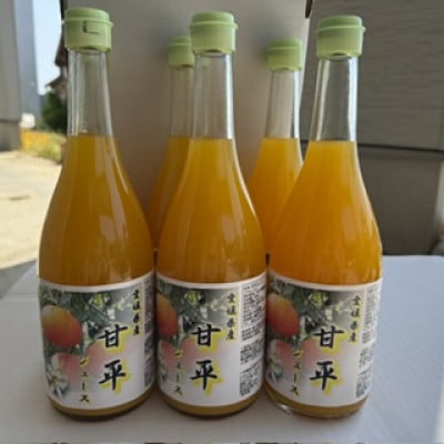 甘平ジュース720ml×6本【E101-4】