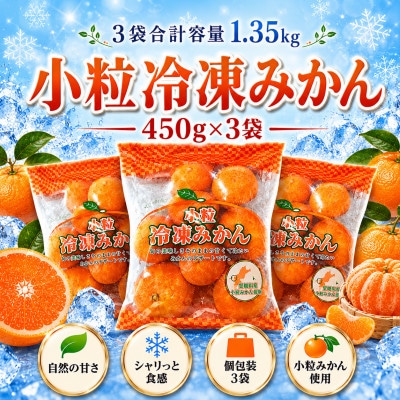 甘くて!おいしい!天然のスイーツ「小粒冷凍みかん」450g入り×3袋【B39-85】