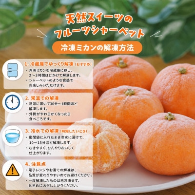 甘くて!おいしい!天然のスイーツ「小粒冷凍みかん」450g入り×3袋【B39-85】