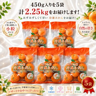甘くて!おいしい!天然のスイーツ「小粒冷凍みかん」450g入り×5袋【C39-86】