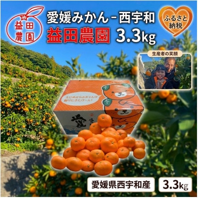 西宇和益田農園直送 愛媛みかん 3.3kg《訳あり》甘さと酸味の濃厚な味【103-1】