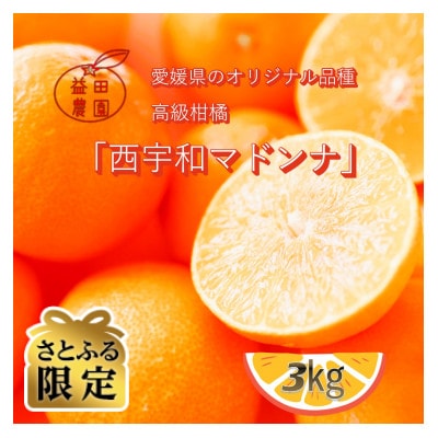 【さとふる限定】ゼリーのような食感「西宇和マドンナ」紅マドンナと同品種 訳あり 3kg【103-6】