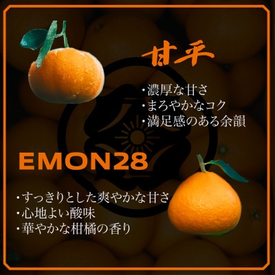 【飲み比べ】EMON28&甘平ジュースセット(720ml 各1本)【63-4】