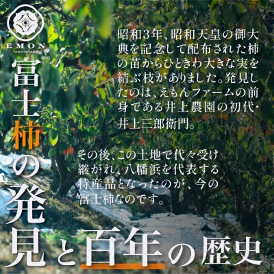 ※先行受付中!!【元祖富士柿】「赤富士」2個入り【63-5】