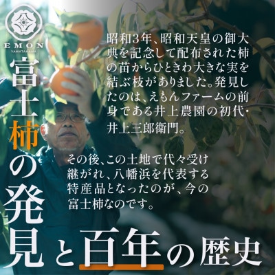 ※先行受付中!!【元祖・EMON】富士柿 3kg【63-7】