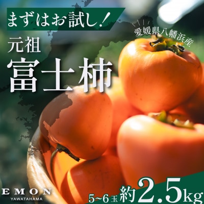 ※先行受付中!!【まずはお試し】元祖・富士柿2.5kg【63-6】