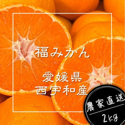 【むいたら最後、止まらない】甘味×酸味が絶妙! 福みかん《2kg》|愛媛・西宇和産【106-1】