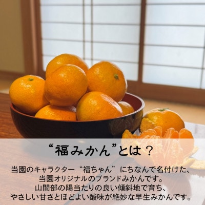 【むいたら最後、止まらない】甘味×酸味が絶妙! 福みかん《2kg》|愛媛・西宇和産【106-1】