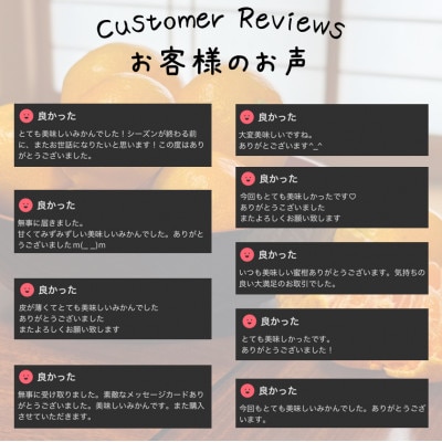 【むいたら最後、止まらない】甘味×酸味が絶妙! 福みかん《2kg》|愛媛・西宇和産【106-1】