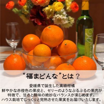 【ぷるん、とろり】完熟ハウス 福まどんな《ご家庭用 2kg》|愛媛・西宇和産【106-3】