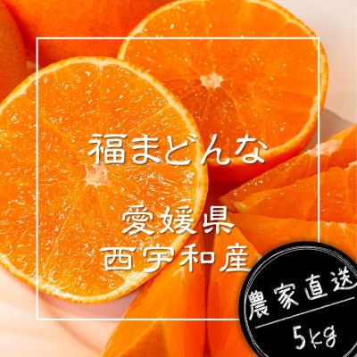 【ぷるん、とろり】完熟ハウス 福まどんな《ご家庭用 5kg》|愛媛・西宇和産【106-4】