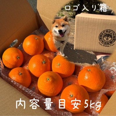 【ぷるん、とろり】完熟ハウス 福まどんな《ご家庭用 5kg》|愛媛・西宇和産【106-4】