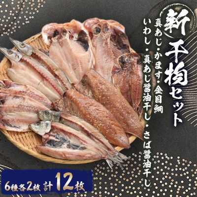 新6種類2枚ずつ12枚セット