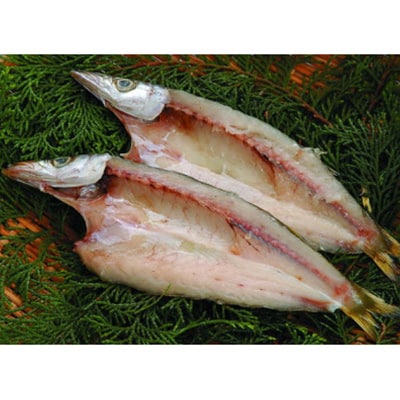 新6種類2枚ずつ12枚セット