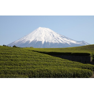 静岡銘茶 6種飲み比べ