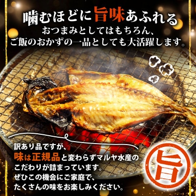 【訳あり】干物 4kgおまかせセット 海鮮詰め合わせ(アジ、ホッケ、他)