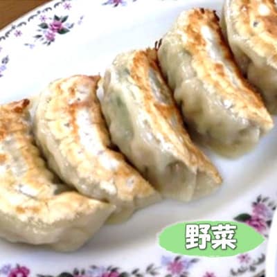 【毎月定期便】富士山餃子 野菜餃子(8人前)全3回