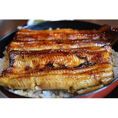 【沼津うなよし】手焼き国産うなぎ蒲焼・白むし味くらべ(蒲焼3尾・白むし1尾)