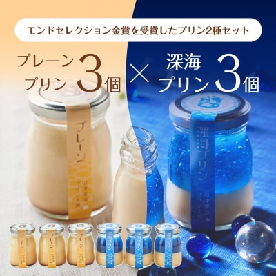【沼津深海プリン工房】沼津プリン(プレーン)・深海プリン 各3個セット