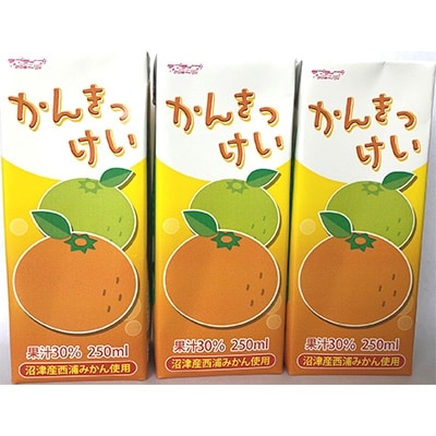 かんきつけい　250ml×24本