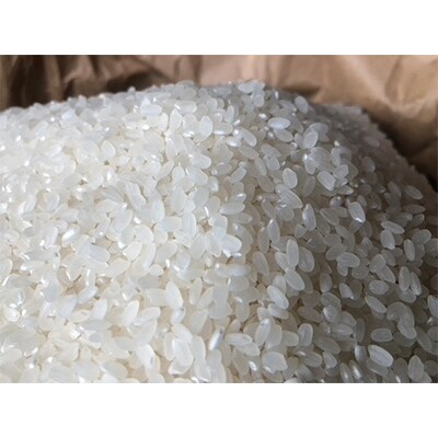 【令和2年産】厳選あしたかの米　きぬむすめ(静岡県沼津産)5kg＜精米＞