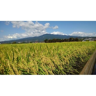 【令和2年産】厳選あしたかの米　きぬむすめ(静岡県沼津産)5kg＜精米＞