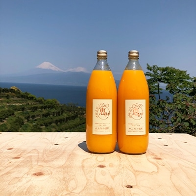 みんなの蜜柑ジュース2本セット(1000ml×2)