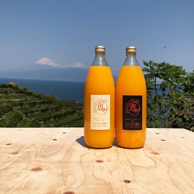 みんなの蜜柑ジュース・大人の蜜柑ジュース各1本セット(1000ml×2)