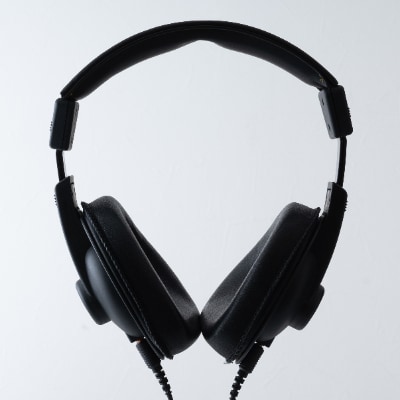 SOUND WARRIOR SW-HP20-B 不二化成モデル Type-C