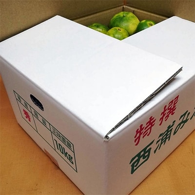 【期間限定】静岡県沼津市西浦産 極早生みかん 約10kg ご家庭用(サイズ不揃い・多少の傷有)
